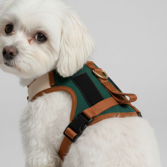 UrbanPaw - Arnes ajustable antitirones para perros