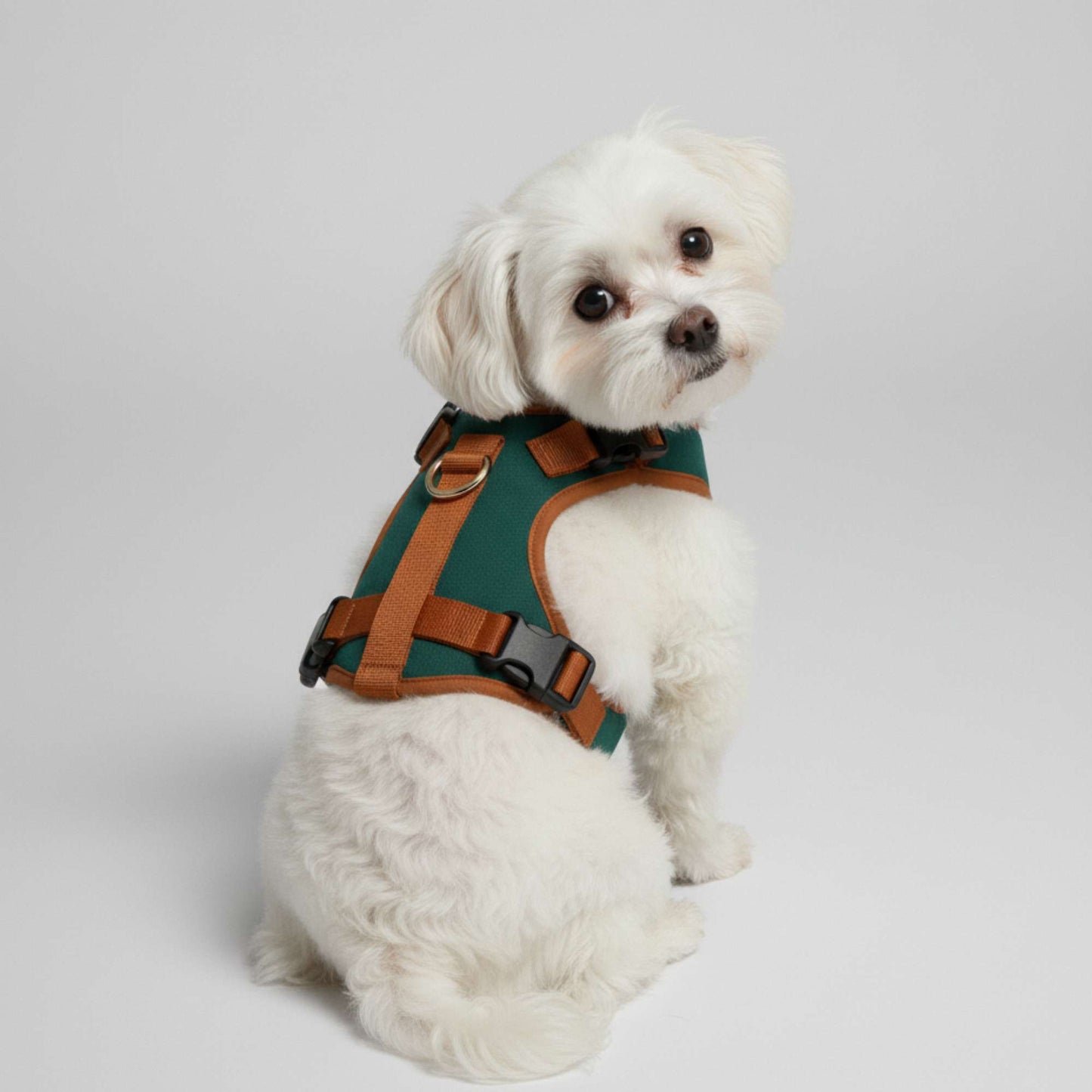 UrbanPaw - Arnes ajustable antitirones para perros