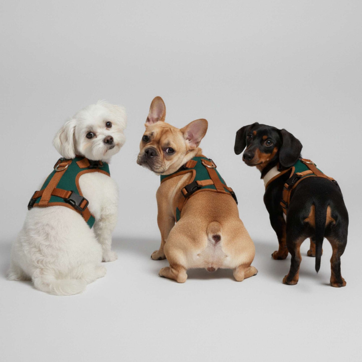 UrbanPaw - Arnes ajustable antitirones para perros