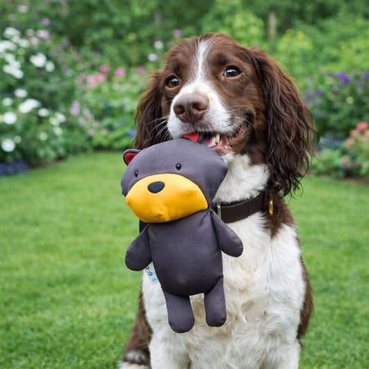 OsoDoggy – Peluche firme para mascotas