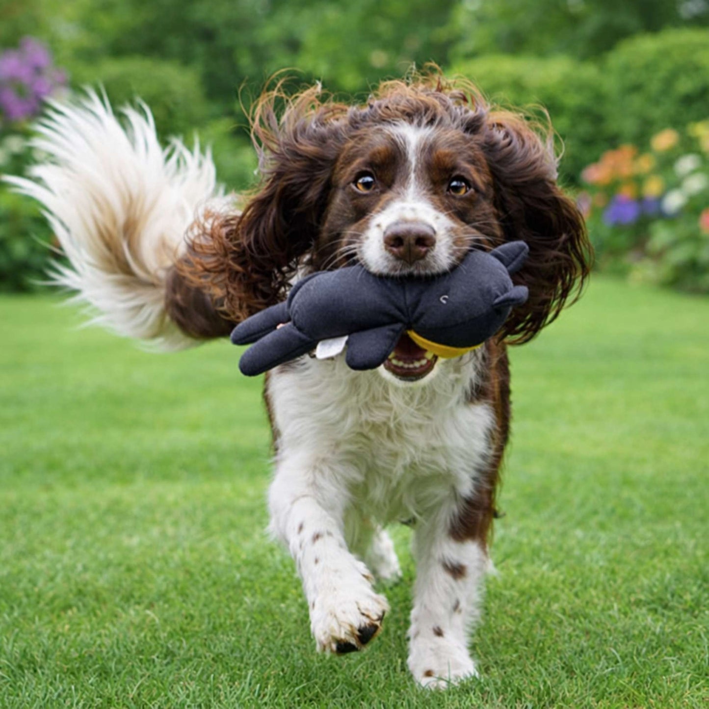 OsoDoggy – Peluche firme para mascotas