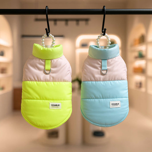 Saturday nights - Chaleco impermeable para perros