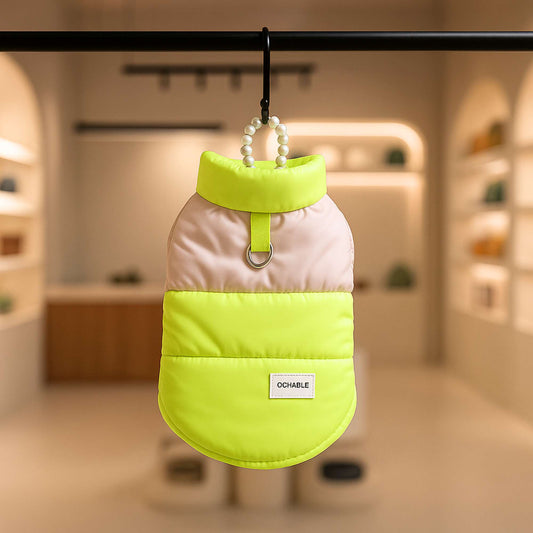 Saturday nights - Chaleco impermeable para perros